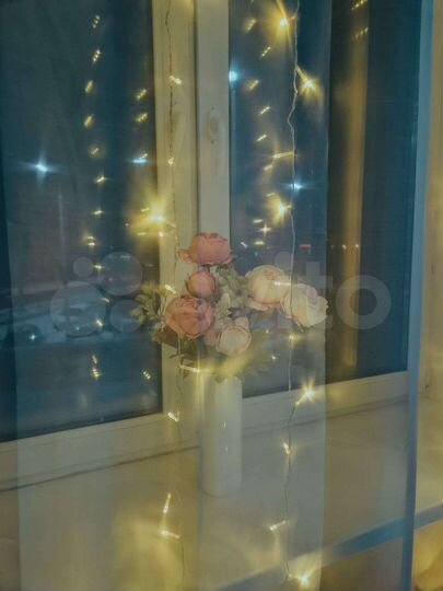 Квартира-студия, 25 м², 2/17 эт.