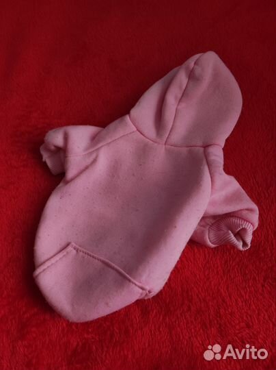 Одежда для собак маленьких пород