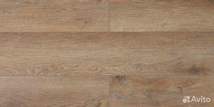 Amadei Goodwill Дуб Cтoлaнд G1907