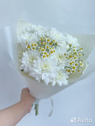 Букет комплимент хризантемы ромашки