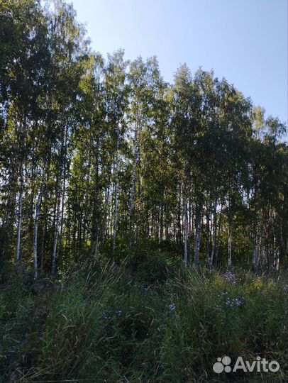 Дрова бесплатно самовывоз