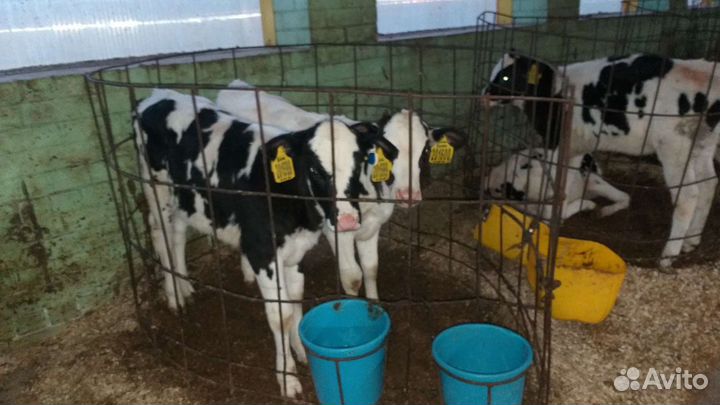 Продаем мрс