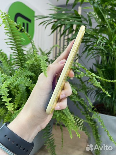 iPhone Xr, 128 ГБ