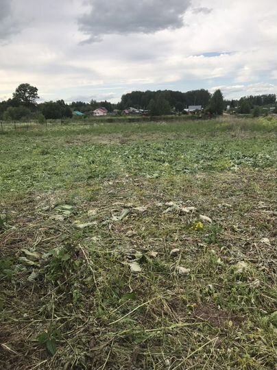 Участок 36 сот. (ИЖС)