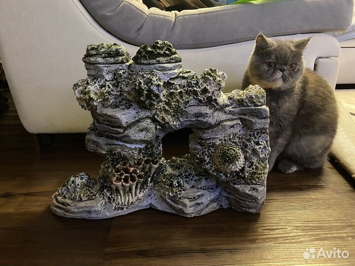 Камень декор для аквариума