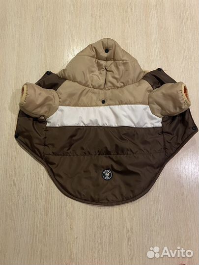 Одежда для собак