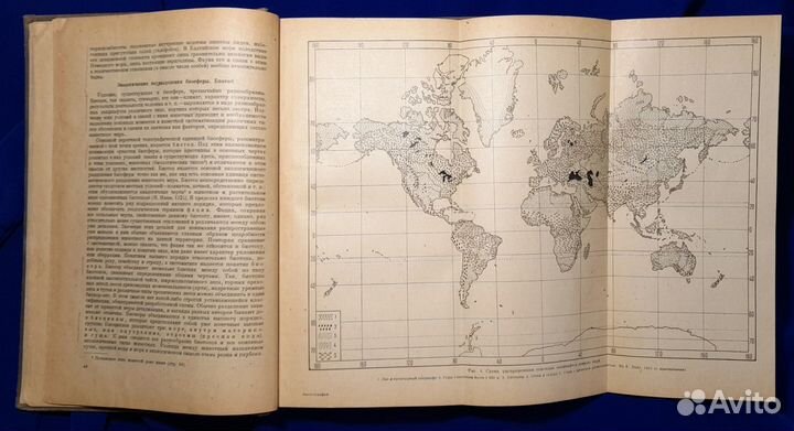 Общая зоогеография. В.Г. Гептнер. Биомедгиз 1936 г