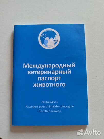 Шлейка для собаки