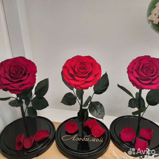 Роза в колбе