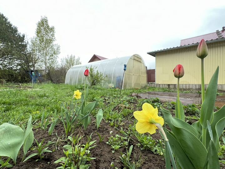 Дача 60 м² на участке 5,1 сот.