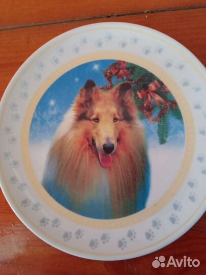 Тарелка собака колли шотландская овчарка