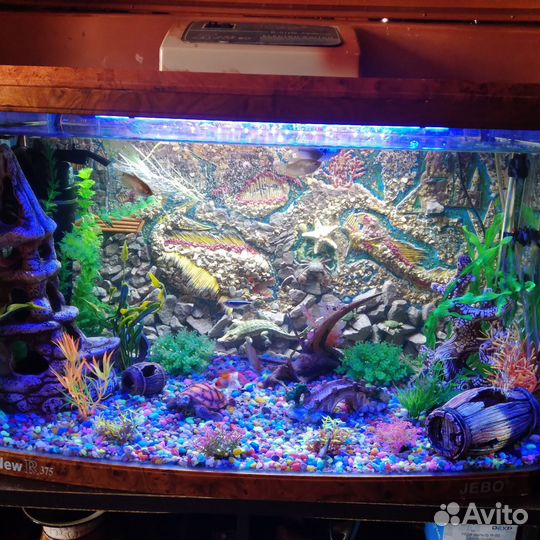 Аквариум jebo 140л. Трещина сбоку, течёт