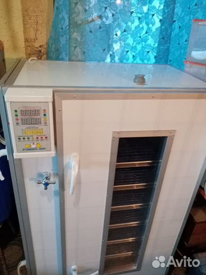 Инкубатор для яиц автоматический бу