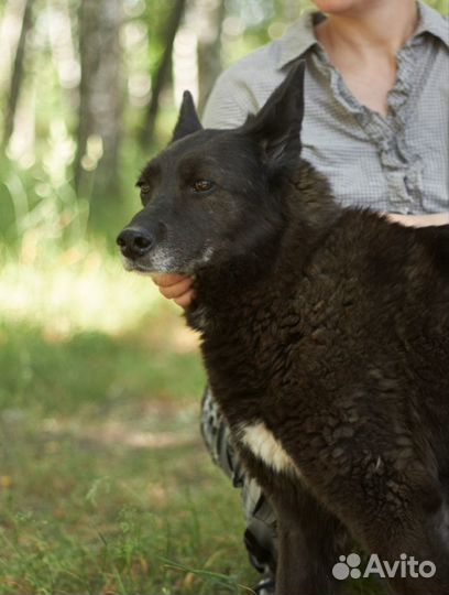 Измените судьбу Бренды