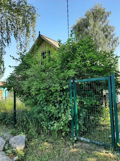 Дача 53 м² на участке 17 сот.