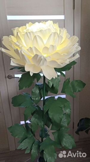 Напольные торшеры, ростовые цветы, настольные, нас