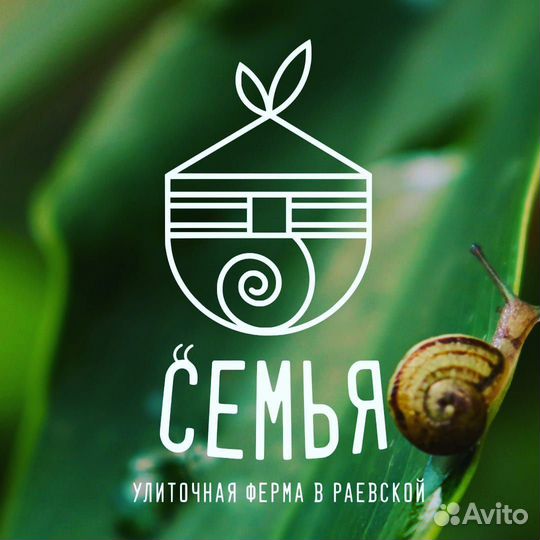 Сотрудники на ферму