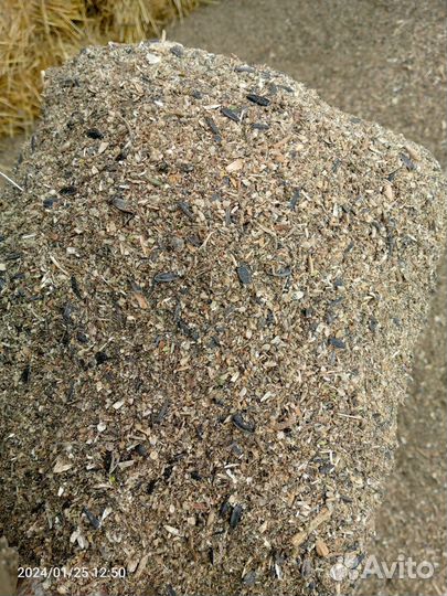 Отходы семечек