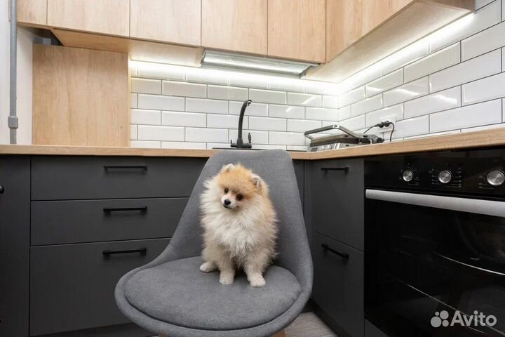 Цена за всю кухню. Кухня угловаяCN:038779