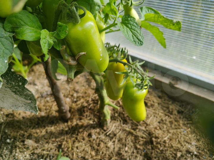 Дача 22 м² на участке 6 сот.