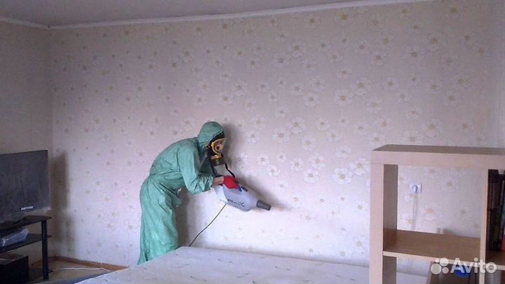 Средство для Дезинфекции Уничтожения тараканов клопов насекомых