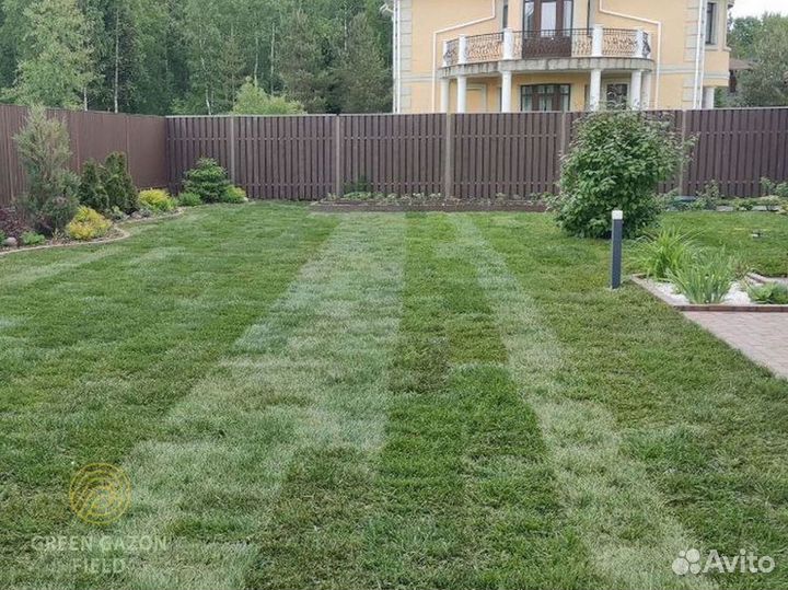 Полевой газон с поля