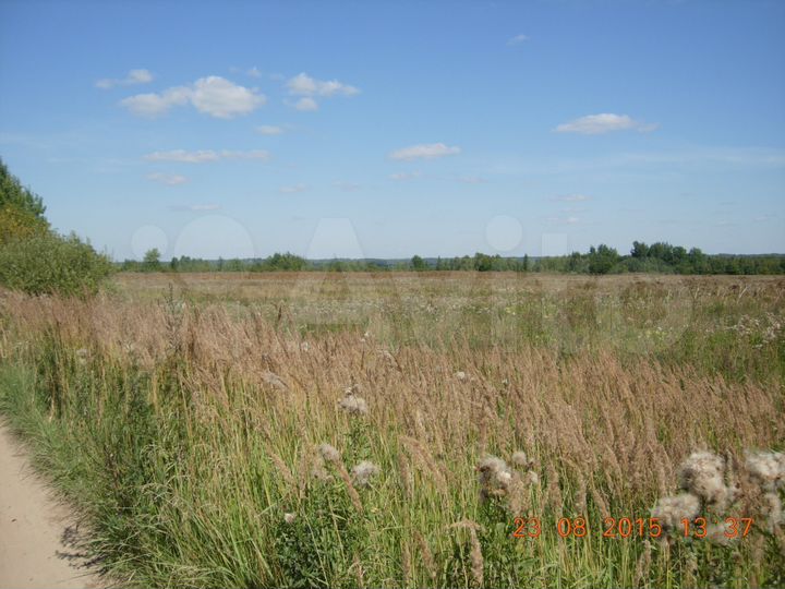 Участок 50 га (СНТ, ДНП)