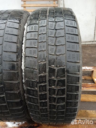 Dunlop Winter Maxx WM01 205/55 R16