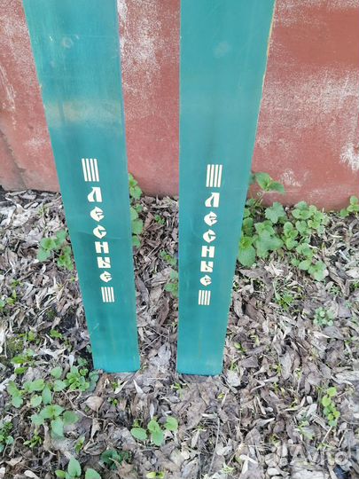 Лыжи Вологда Лесные