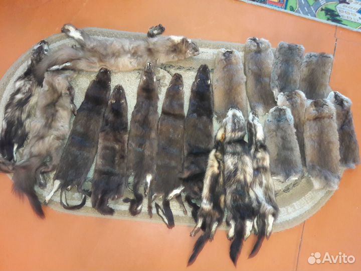 Шкурки пушнины