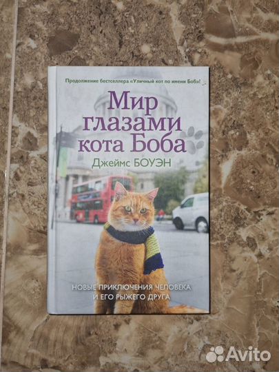 Котик книга