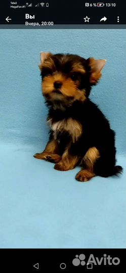 Самые красивые