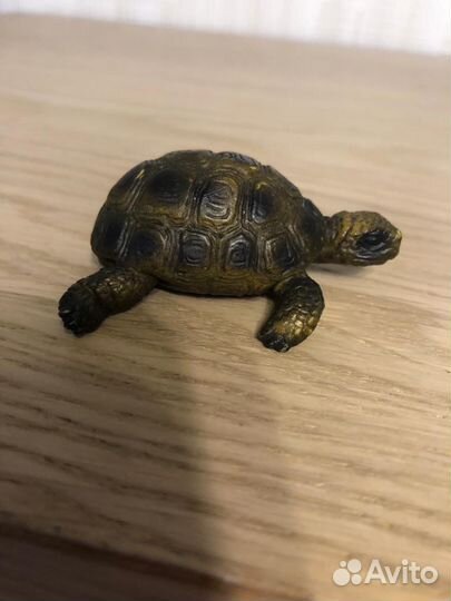 Шляйх schleich новые (африка, арктика, америка)