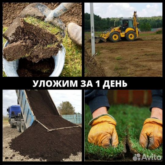 Рулонный газон под ключ в г.о. Домодедово