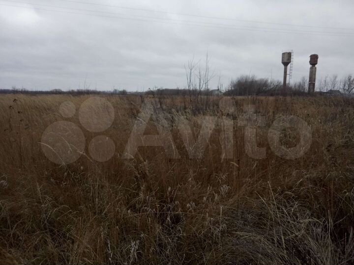 Участок 20 сот. (СНТ, ДНП)
