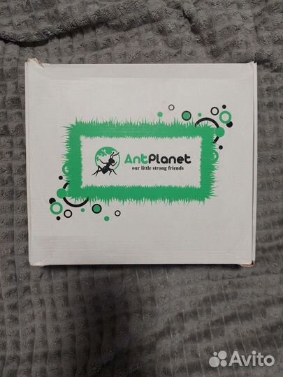 Муравьиная ферма