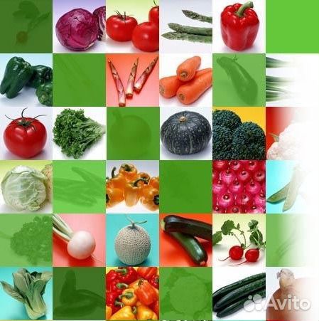 Семена оптом