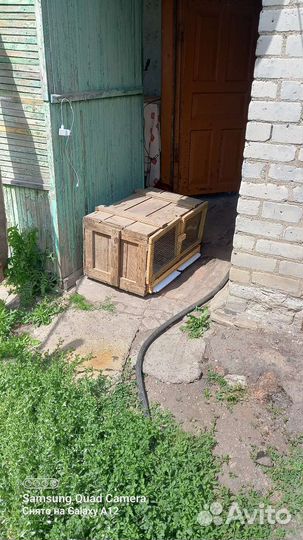 Брудер для цыплят бу