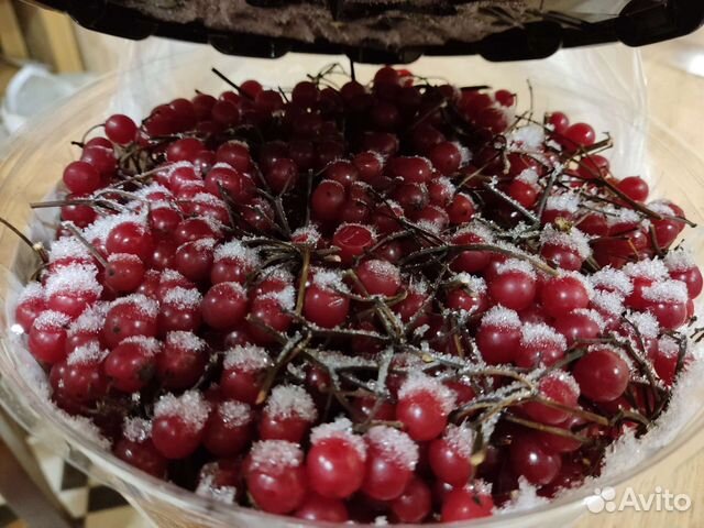 Калина, вишня, жимолость, крыжовник+апельсин