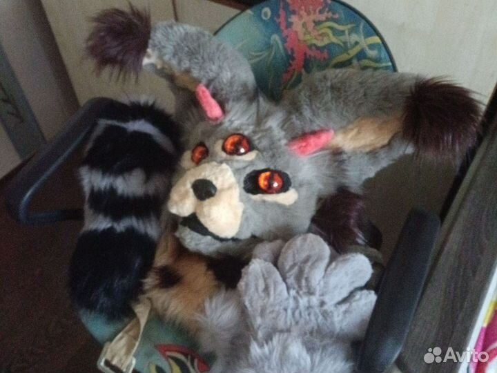 Фурсьют кота