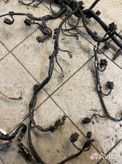 Проводка,коса двигателя A6291501933 Mercedes om629