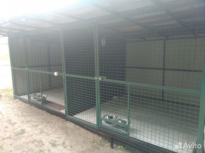 Передержка. Зоогостиница для собак