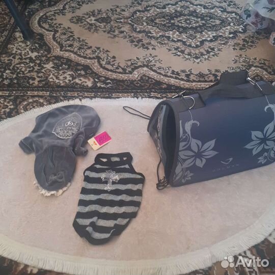 Переноска и одежда для маленькой собаки