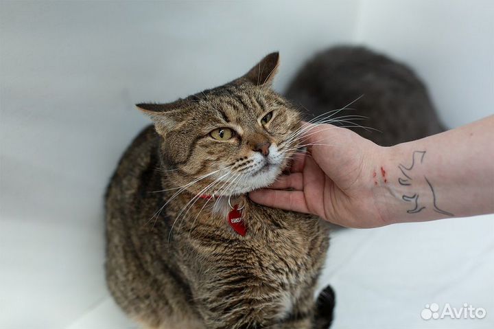 У Лоры осталось меньше недели