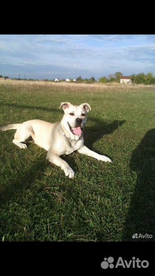 Кабель Ка де бо (вязка)