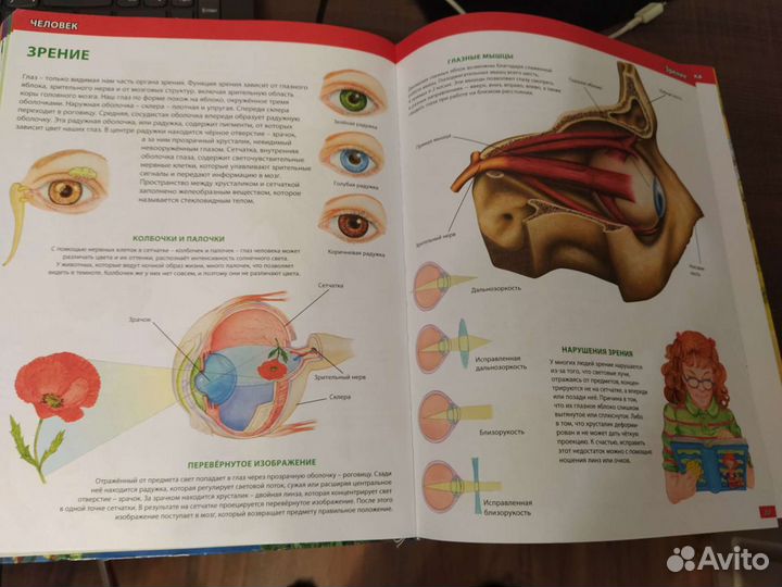 Детская энциклопедия