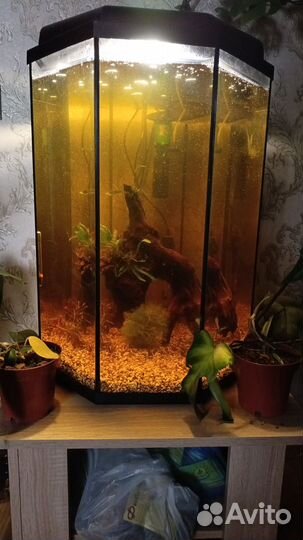 Аквариум с крышкой, заводской 100л