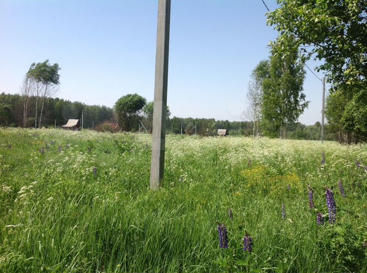 Участок 10 сот. (СНТ, ДНП)