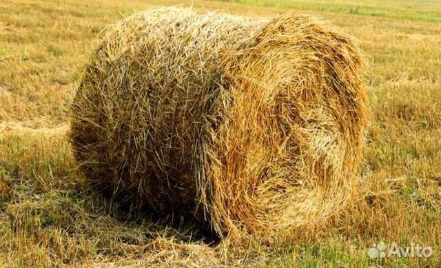 Сено в тюках укос 2023