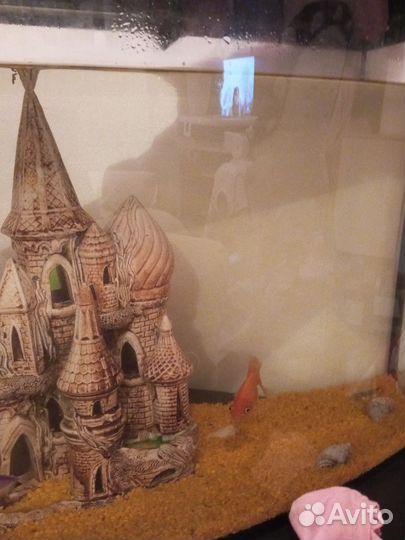 Продам аквариум с рыбами